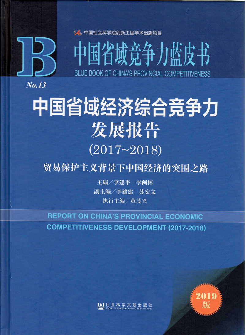 俄罗斯插BB中国省域经济综合竞争力发展报告（2017-2018）